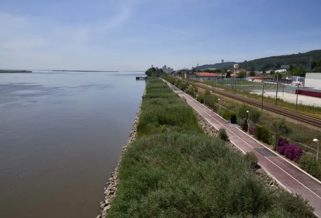 Estuário do Sado